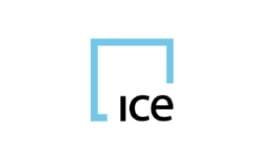 7 ICE logo